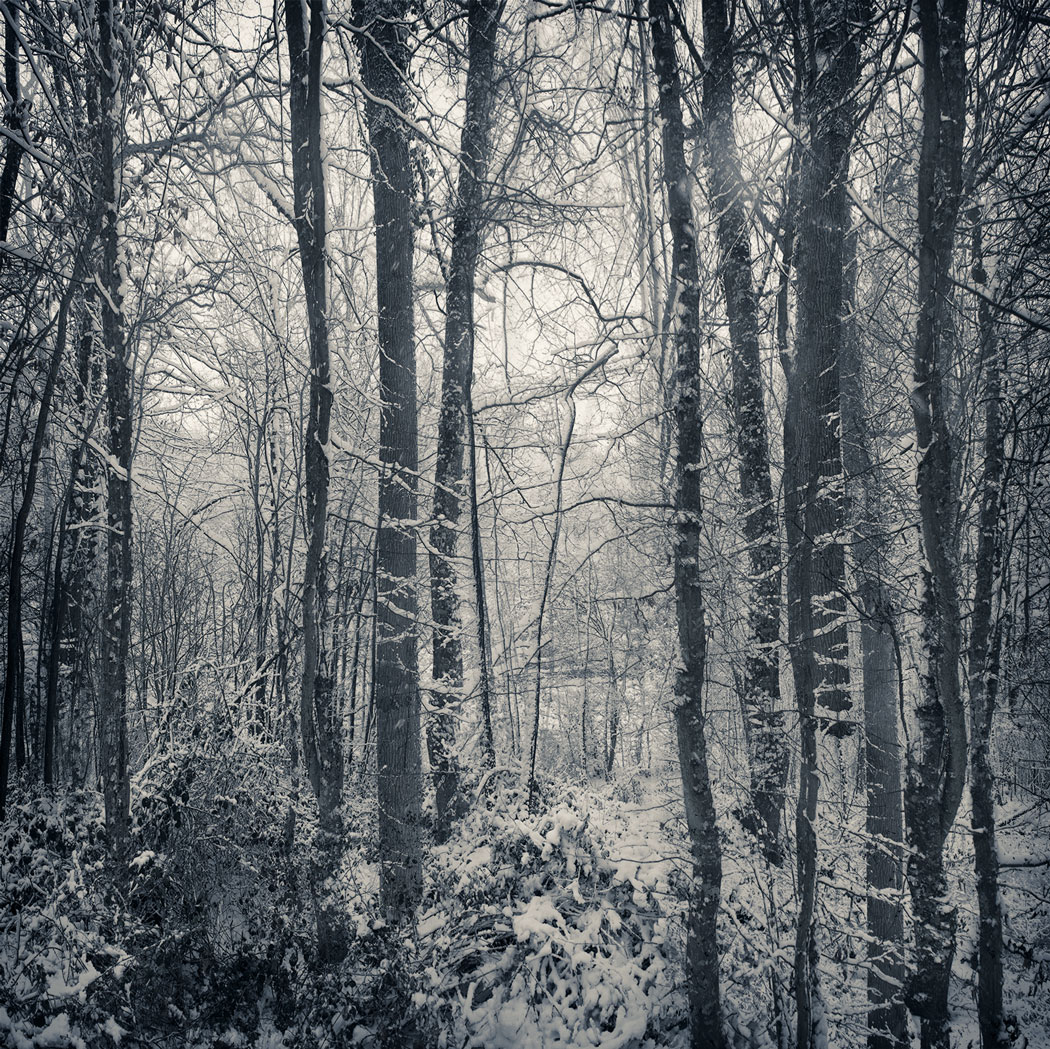 Photographie fantomatique au numérique noir et blanc d'une forêt enneigée vers Escorpain